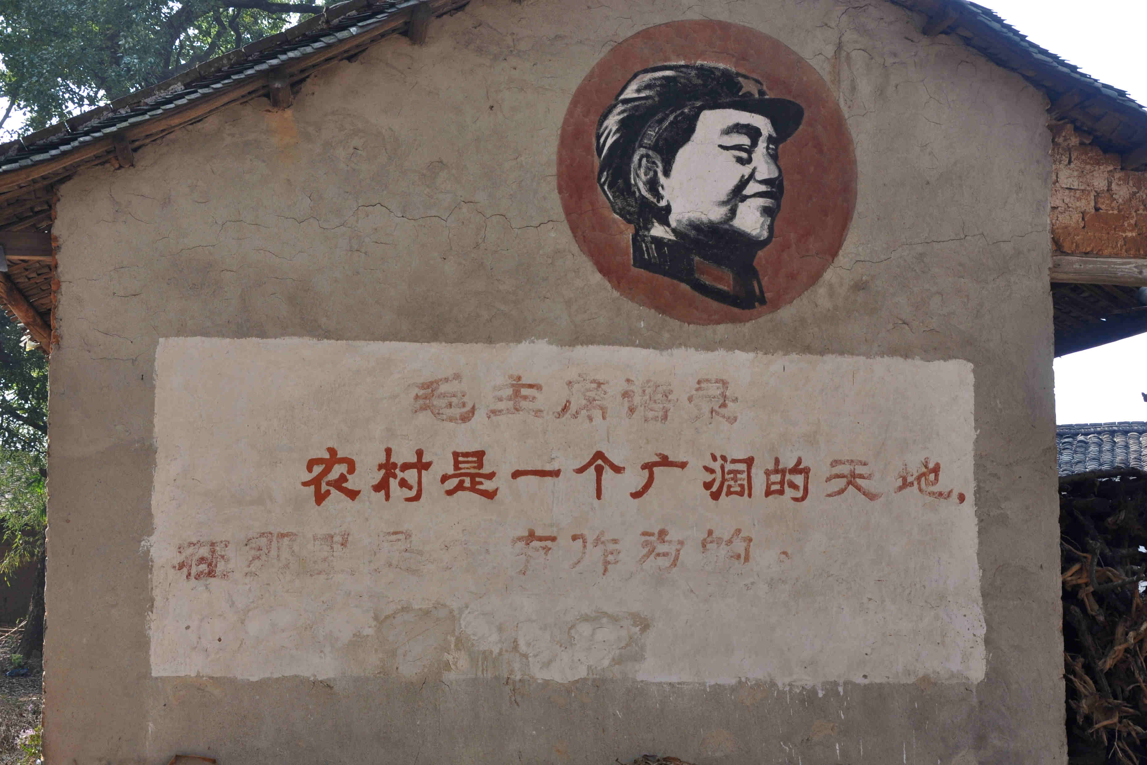 故乡轶事：满叔的酒和爱情274 / 作者:行者 / 帖子ID:96984