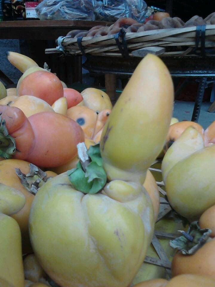 昨天红岩看到的JJ果，呵呵465 / 作者:飞天鼠 / 帖子ID:97044