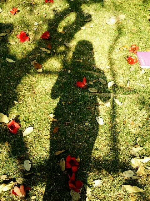 公园系列(12)113 / 作者:晚上的蜻蜓 / 帖子ID:97196