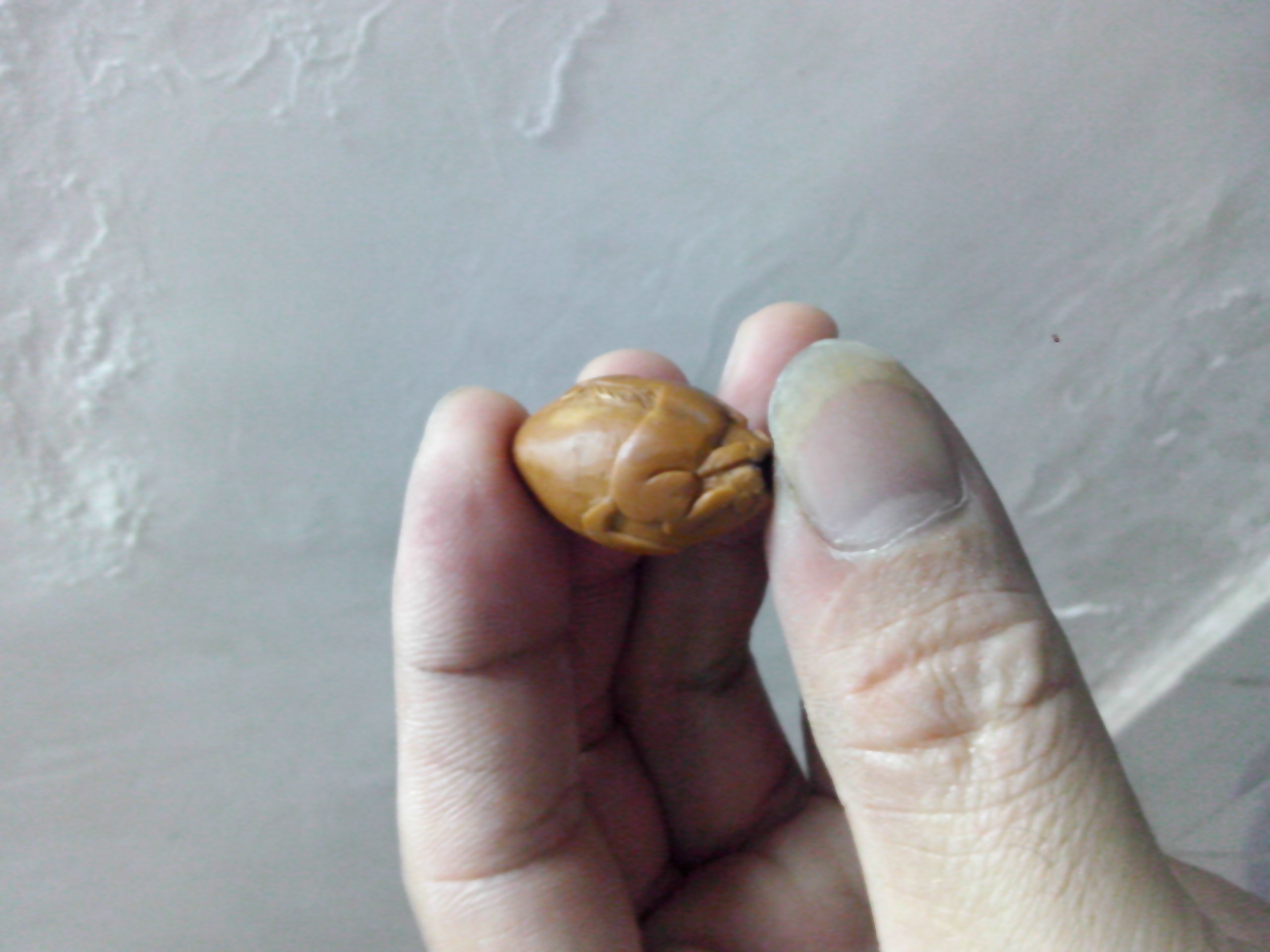 马到成功！！！654 / 作者:排散 / 帖子ID:97199