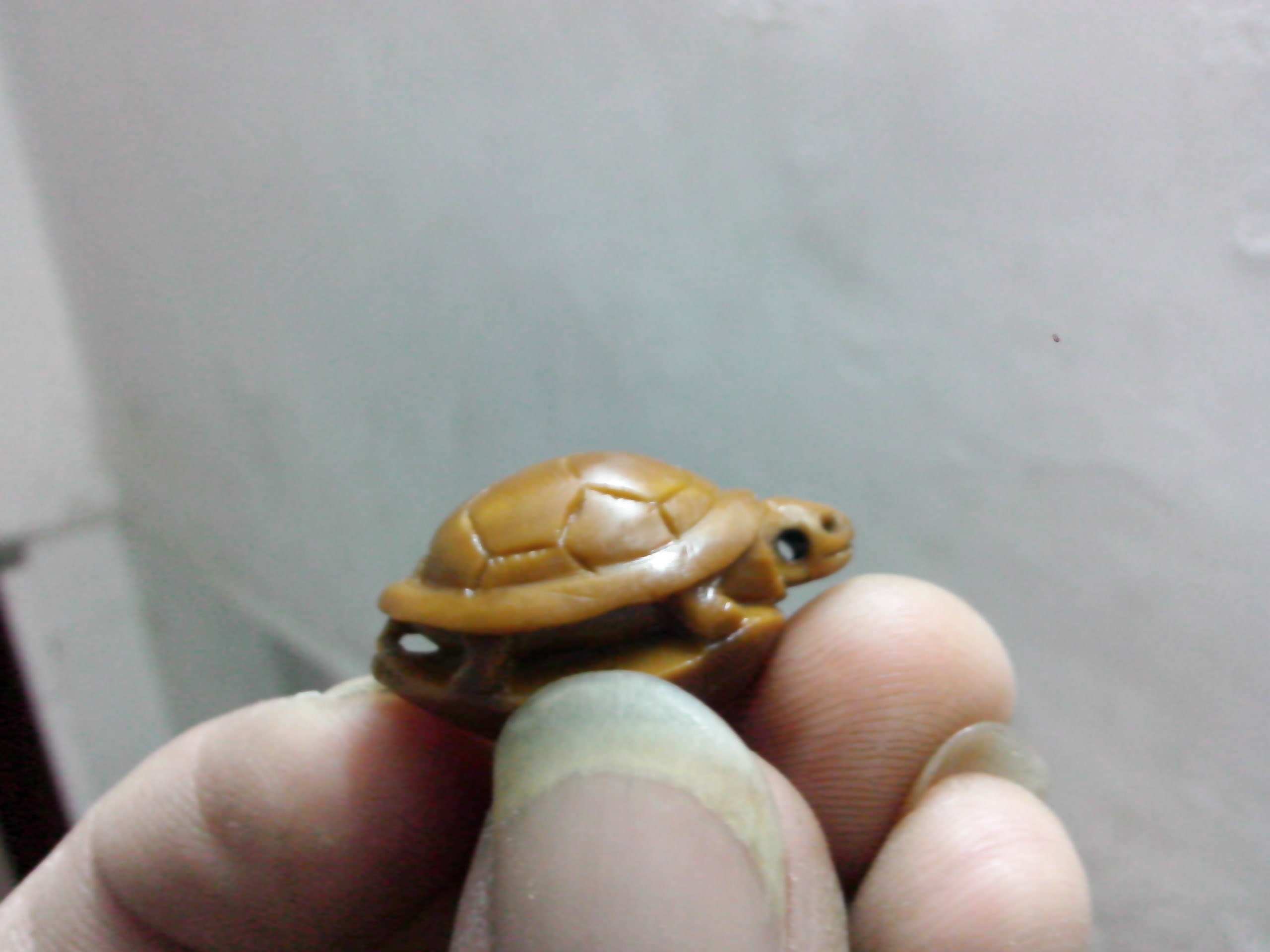 乌龟！！200 / 作者:排散 / 帖子ID:97205