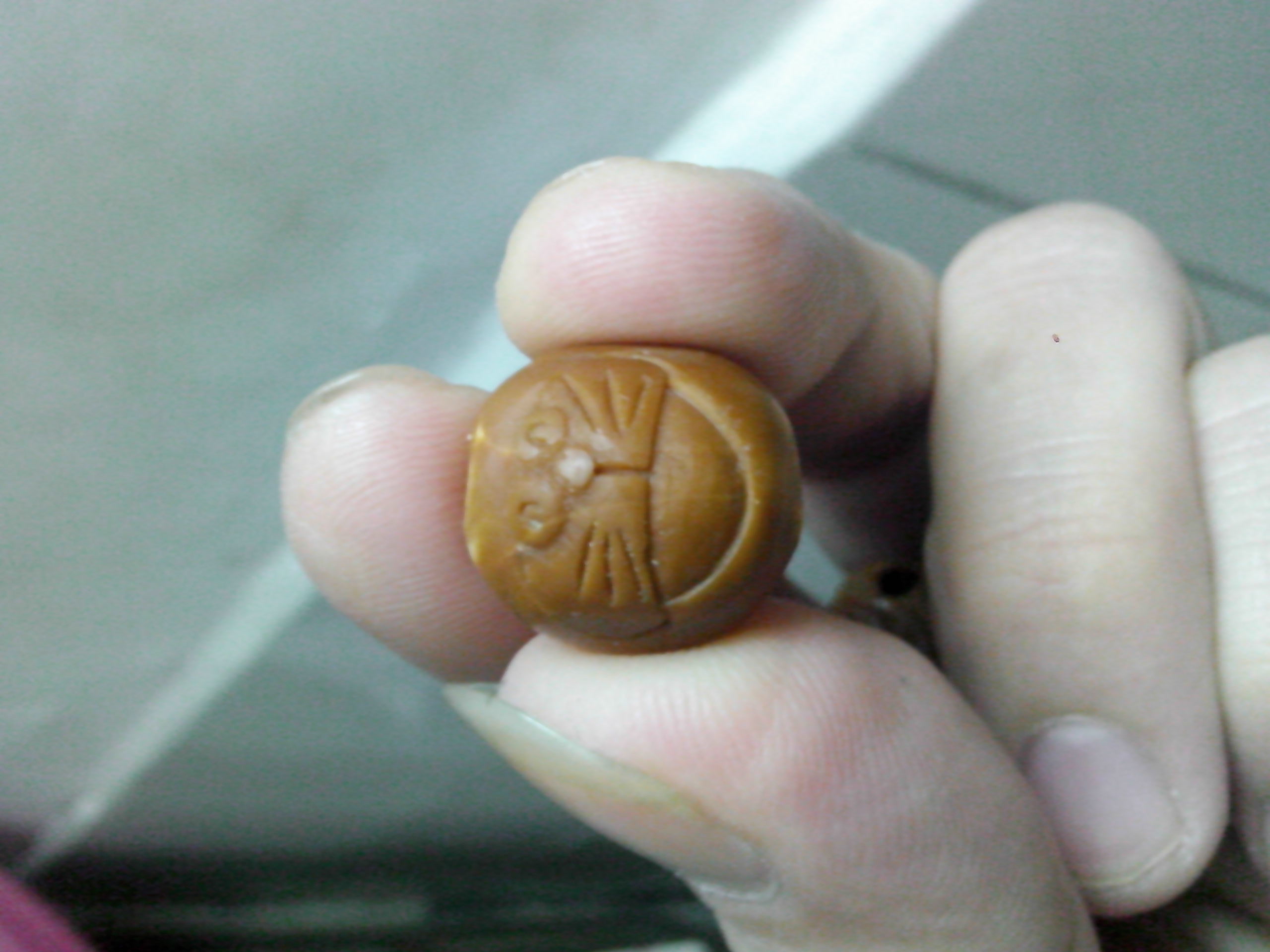 乌龟！！512 / 作者:排散 / 帖子ID:97205