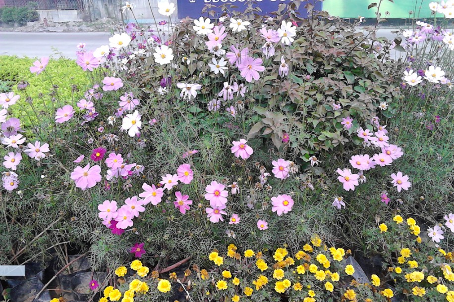 实习结束了784 / 作者:半醒半梦 / 帖子ID:97256