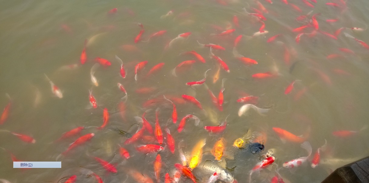 实习结束了894 / 作者:半醒半梦 / 帖子ID:97256