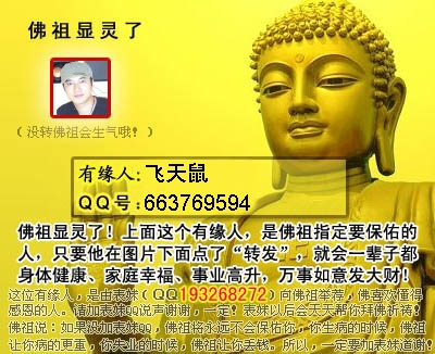 不知道你们信不信。。。。。。198 / 作者:飞天鼠 / 帖子ID:97302