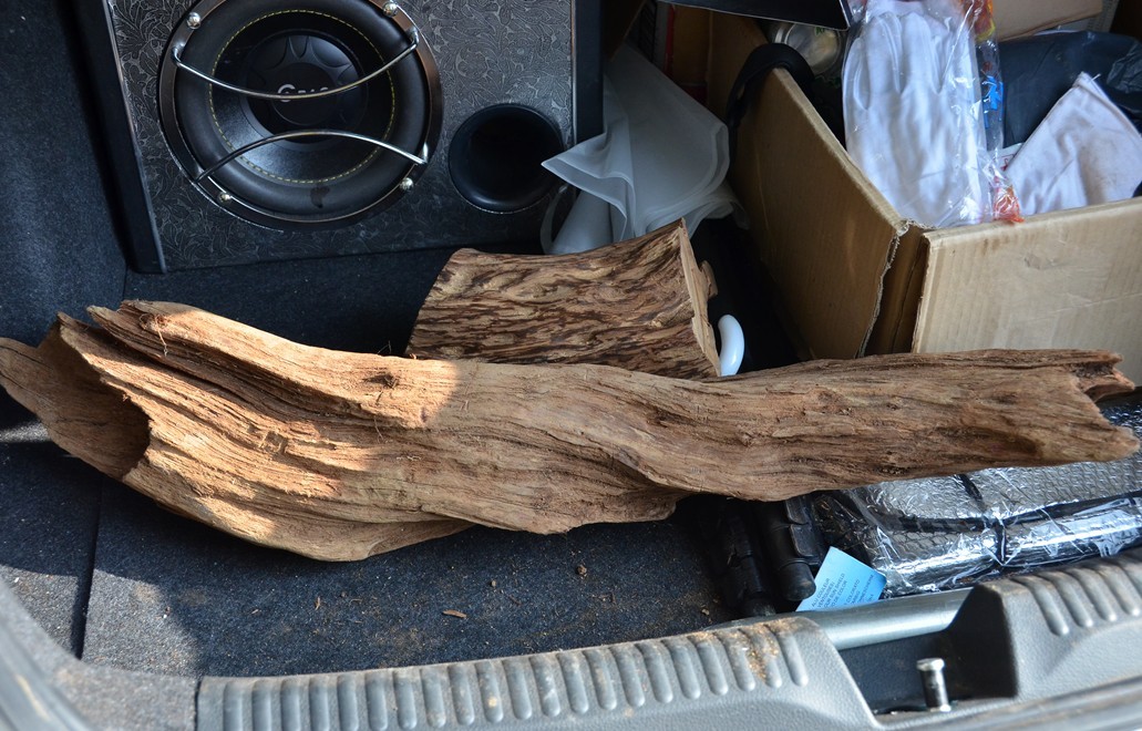 求大师鉴定这个是什么木头503 / 作者:星想事成 / 帖子ID:97306