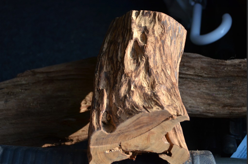 求大师鉴定这个是什么木头467 / 作者:星想事成 / 帖子ID:97306