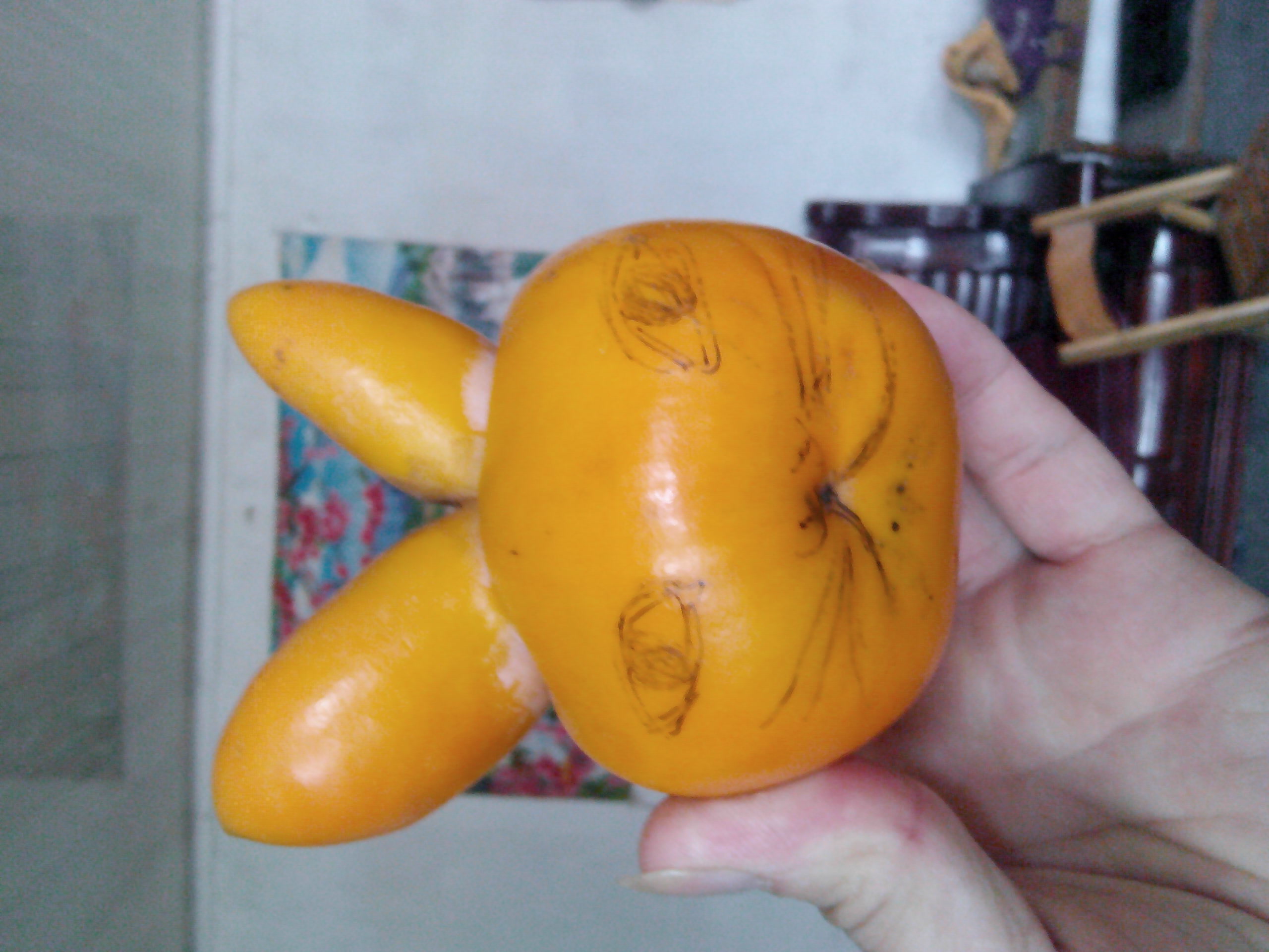 两只耳朵竖起来！866 / 作者:排散 / 帖子ID:97347