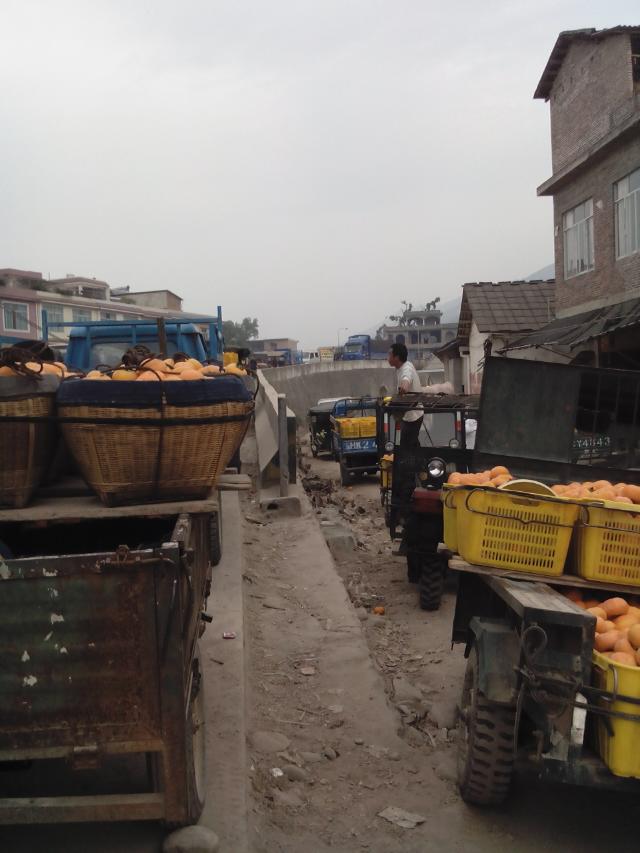 堵得好精彩.841 / 作者:罗少爷 / 帖子ID:97404