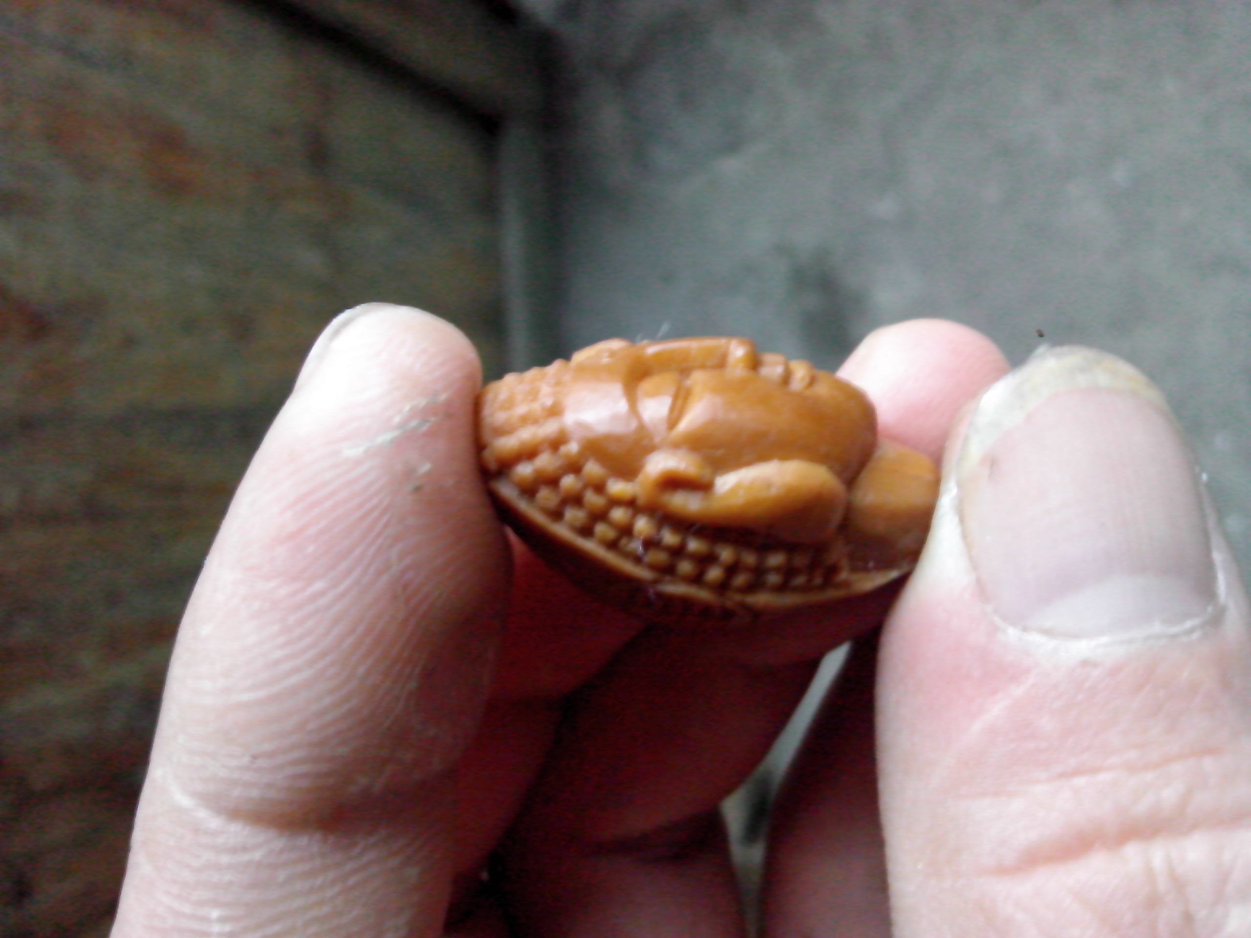 一念之间！！644 / 作者:排散 / 帖子ID:97447