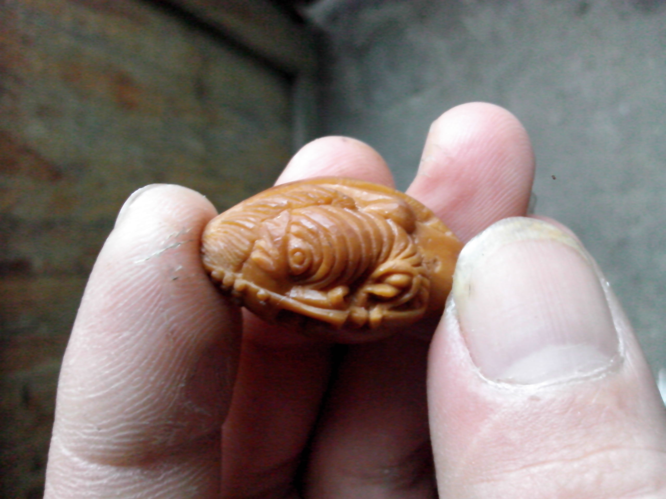 一念之间！！802 / 作者:排散 / 帖子ID:97447