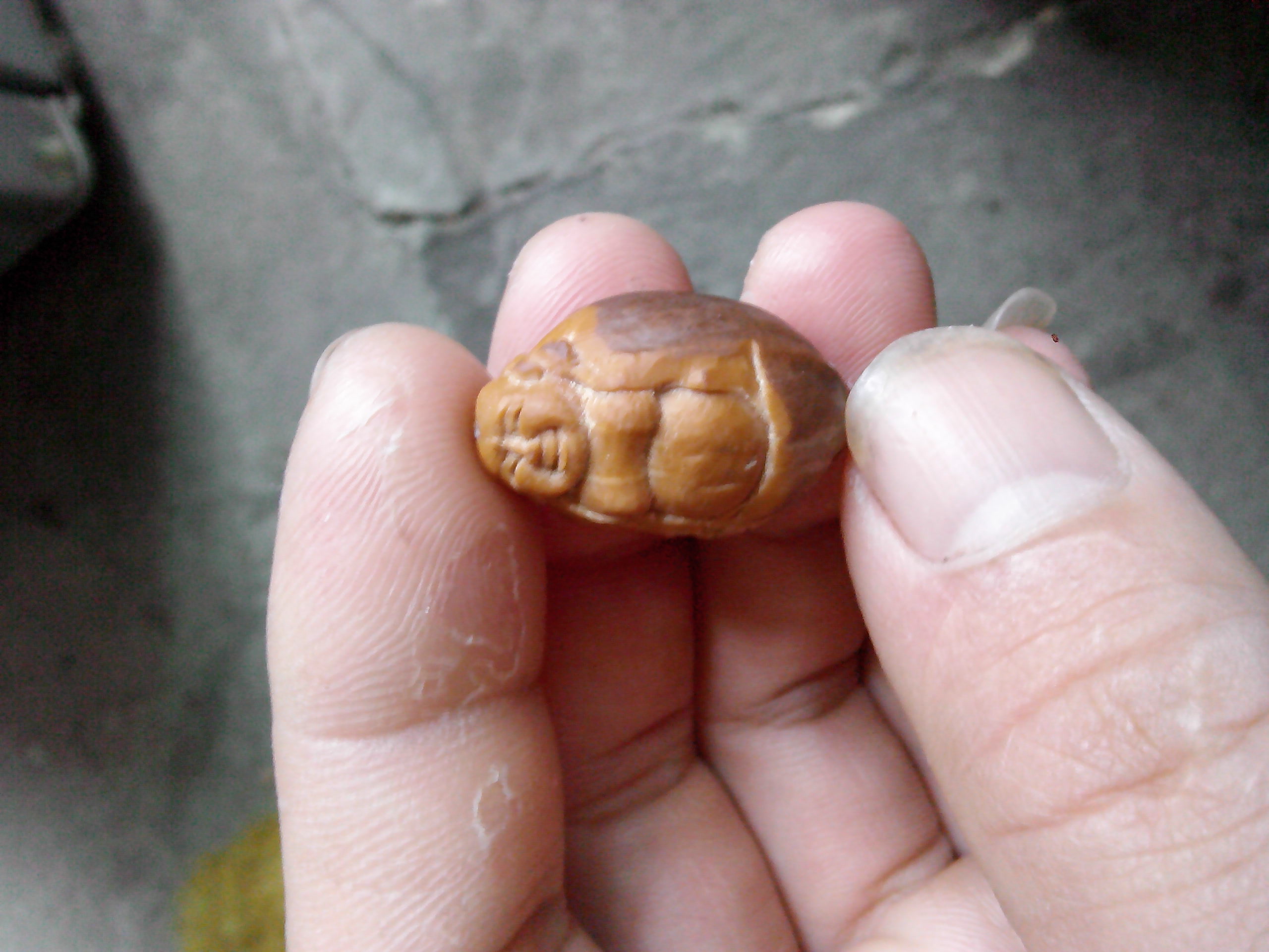 又来一个！390 / 作者:排散 / 帖子ID:97519