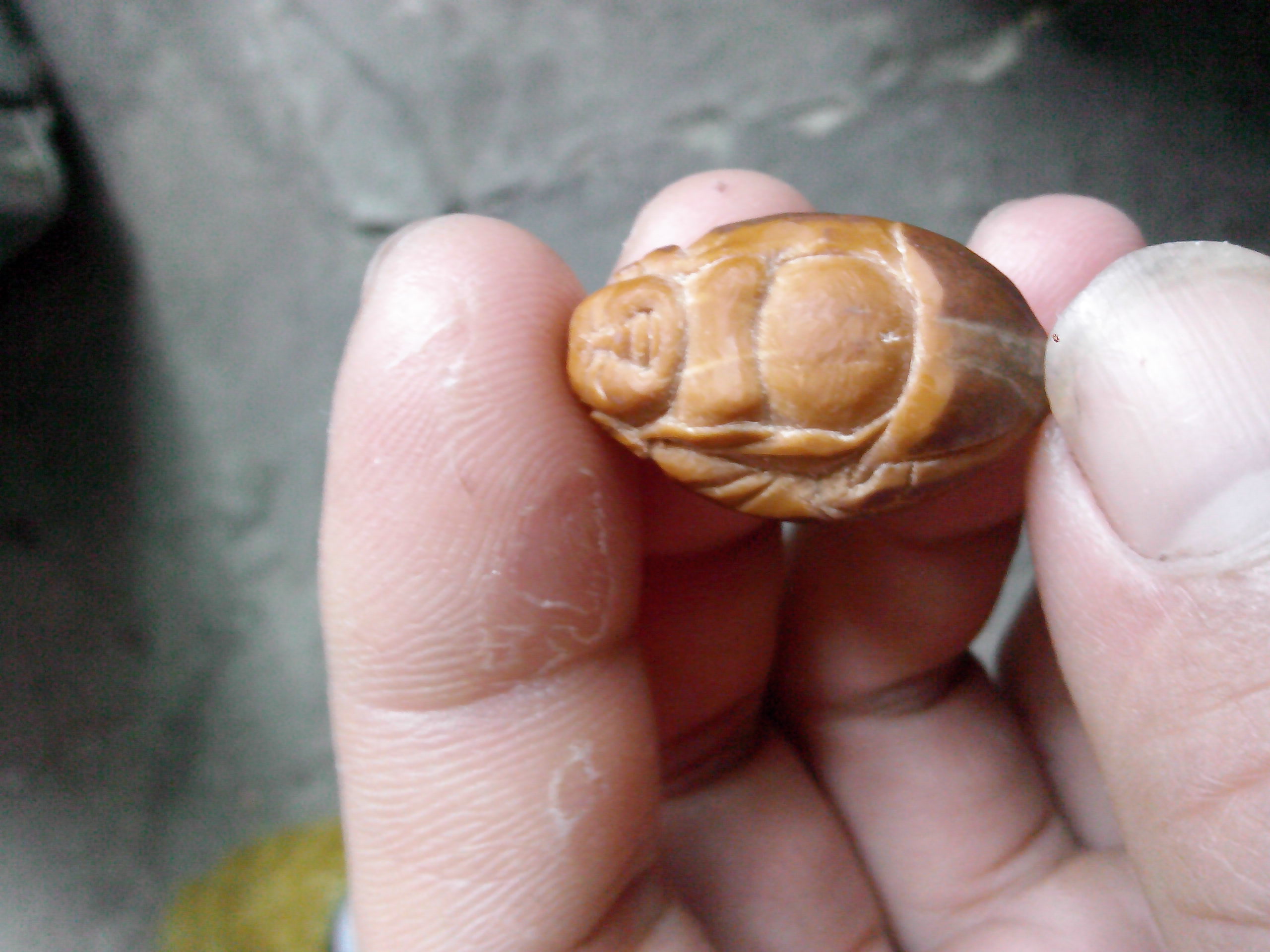 又来一个！121 / 作者:排散 / 帖子ID:97519