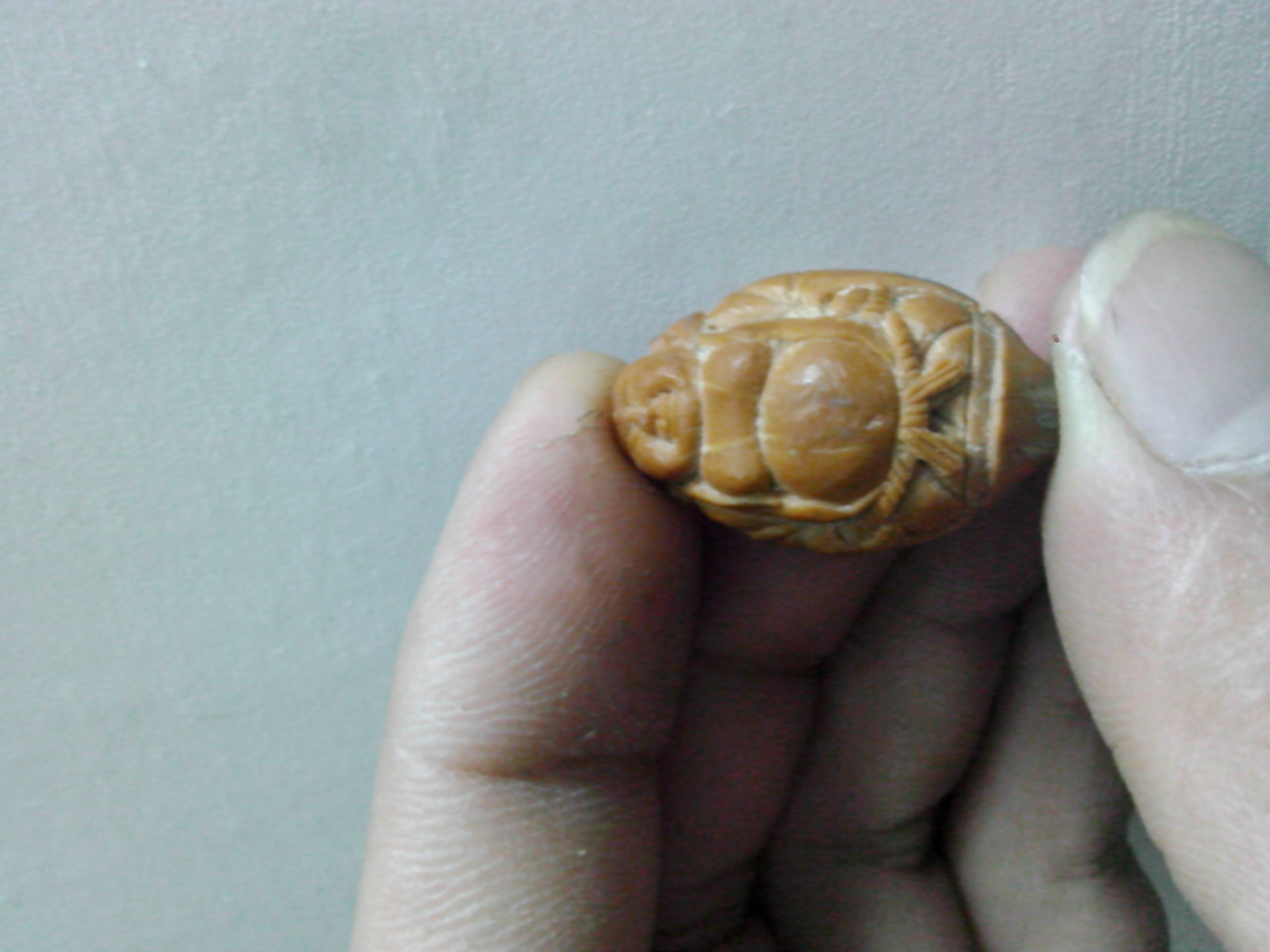 又来一个！227 / 作者:排散 / 帖子ID:97519