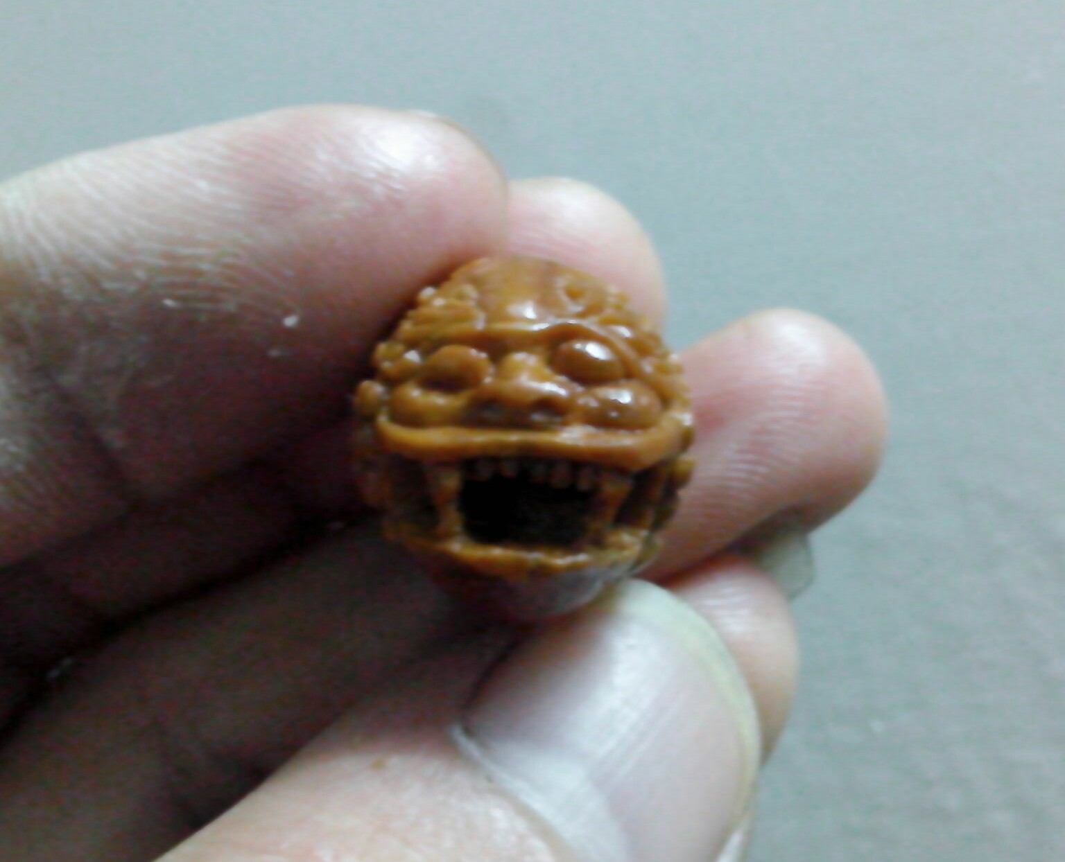 据说是貔貅！！317 / 作者:排散 / 帖子ID:97554