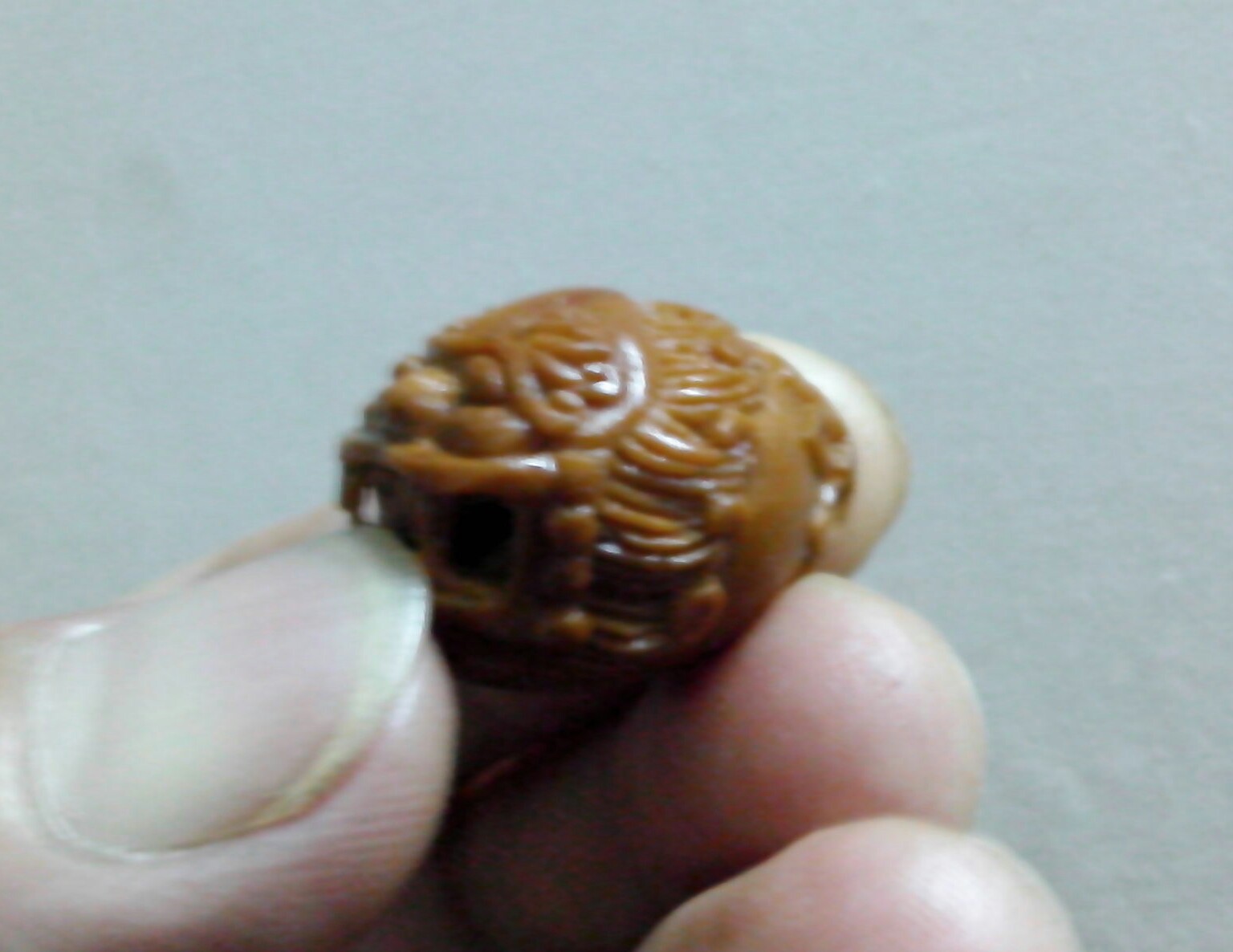 据说是貔貅！！304 / 作者:排散 / 帖子ID:97554