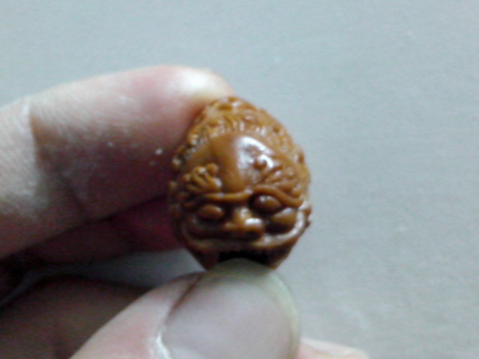 据说是貔貅！！882 / 作者:排散 / 帖子ID:97554