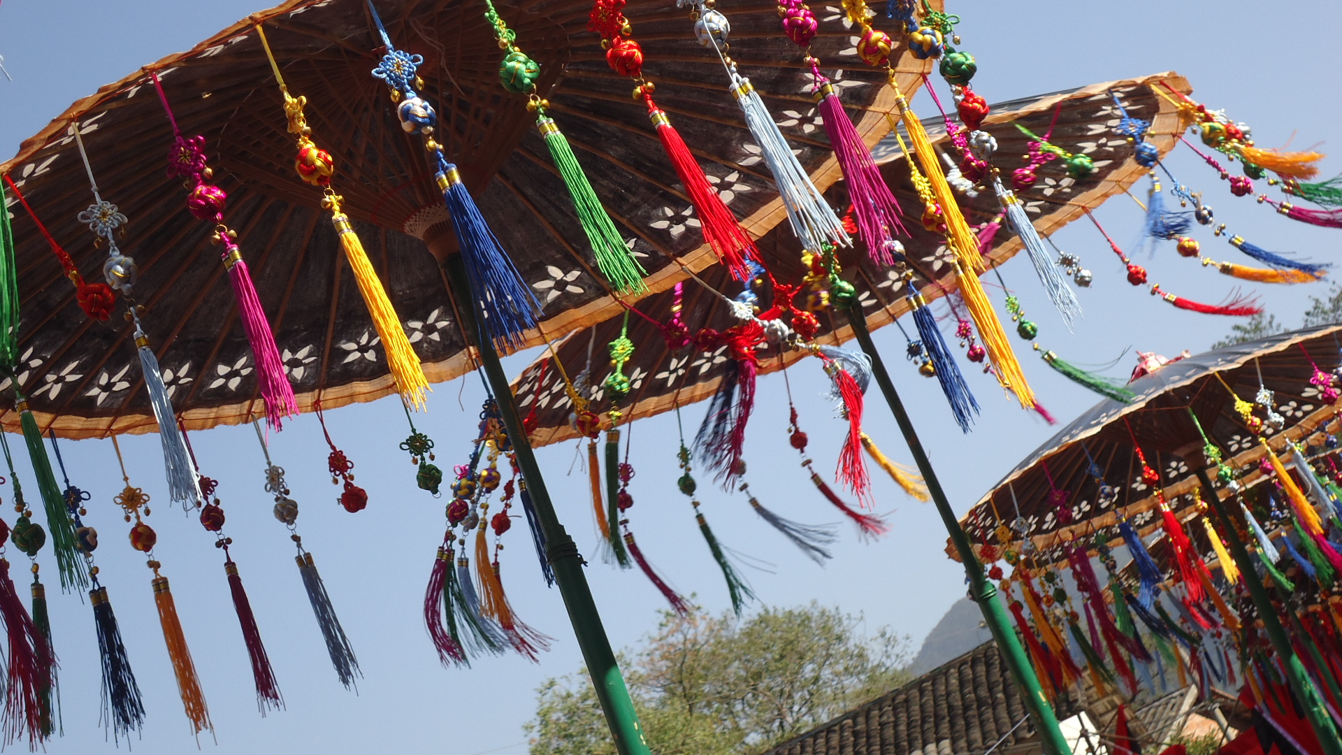 盘王节动态第二弹201 / 作者:落花溪 / 帖子ID:97575