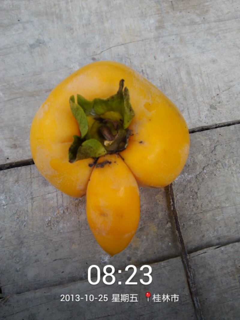 太邪恶了975 / 作者:虚伪鉽谈情 / 帖子ID:97632