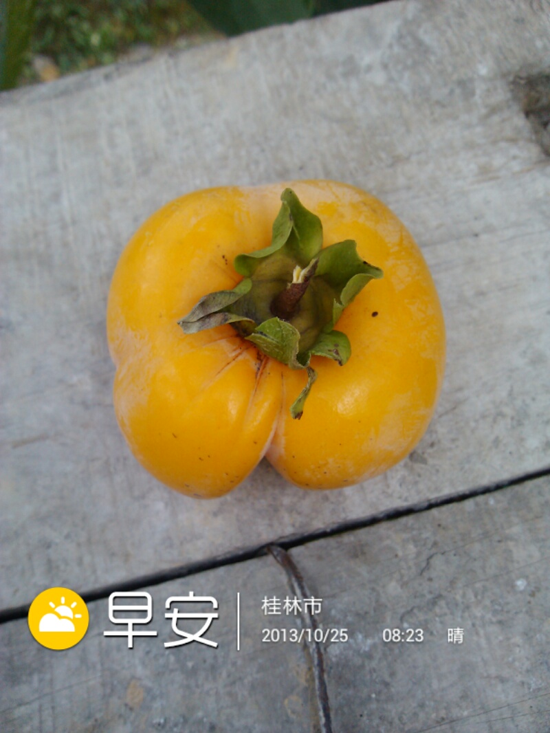 太邪恶了572 / 作者:虚伪鉽谈情 / 帖子ID:97632