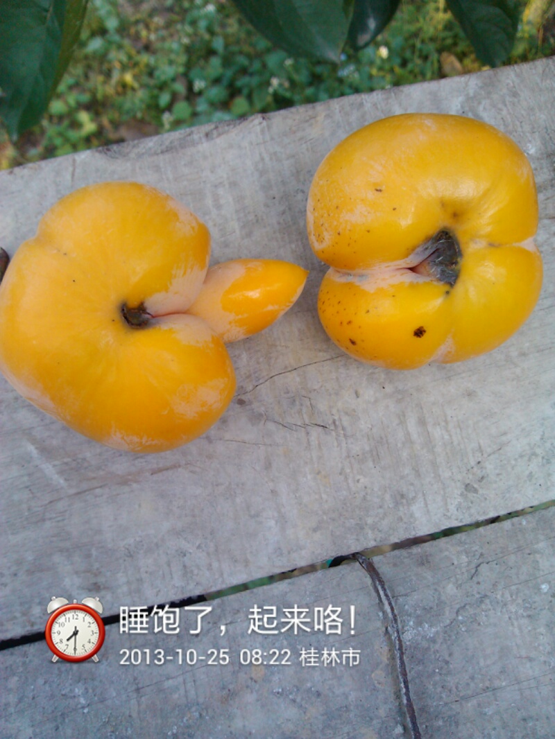 太邪恶了340 / 作者:虚伪鉽谈情 / 帖子ID:97632