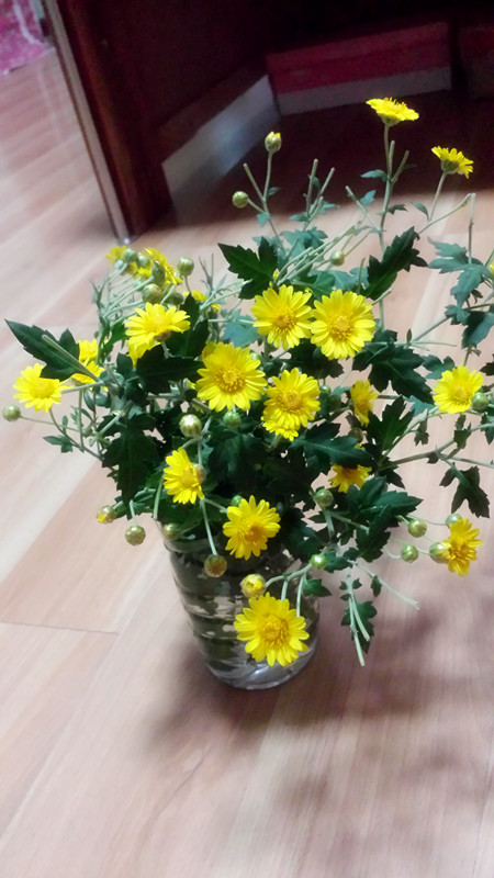 野菊花417 / 作者:阳光下的微笑丶 / 帖子ID:97642