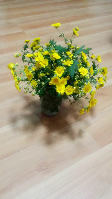 野菊花380 / 作者:阳光下的微笑丶 / 帖子ID:97642