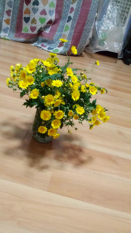 野菊花624 / 作者:阳光下的微笑丶 / 帖子ID:97642