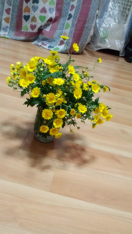 野菊花820 / 作者:阳光下的微笑丶 / 帖子ID:97642