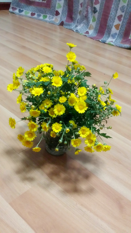 野菊花645 / 作者:阳光下的微笑丶 / 帖子ID:97642
