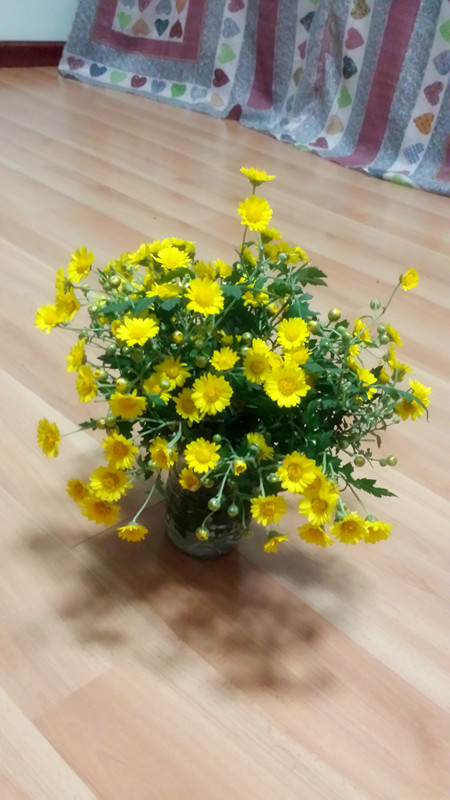野菊花370 / 作者:阳光下的微笑丶 / 帖子ID:97642
