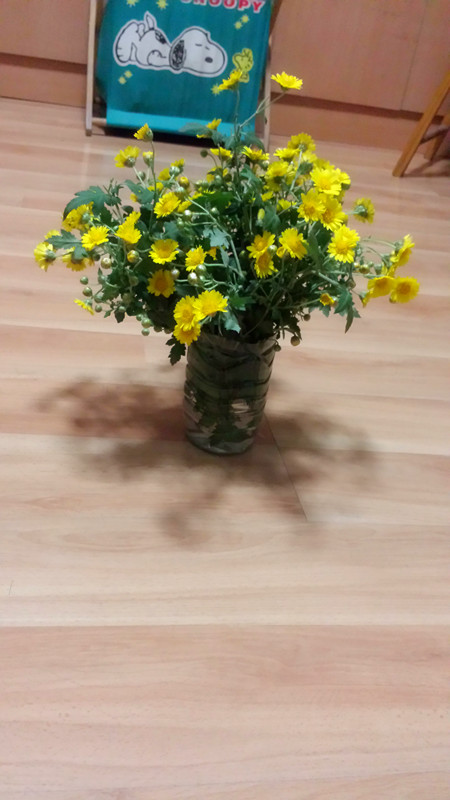 野菊花321 / 作者:阳光下的微笑丶 / 帖子ID:97642