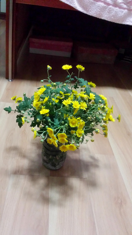 野菊花203 / 作者:阳光下的微笑丶 / 帖子ID:97642