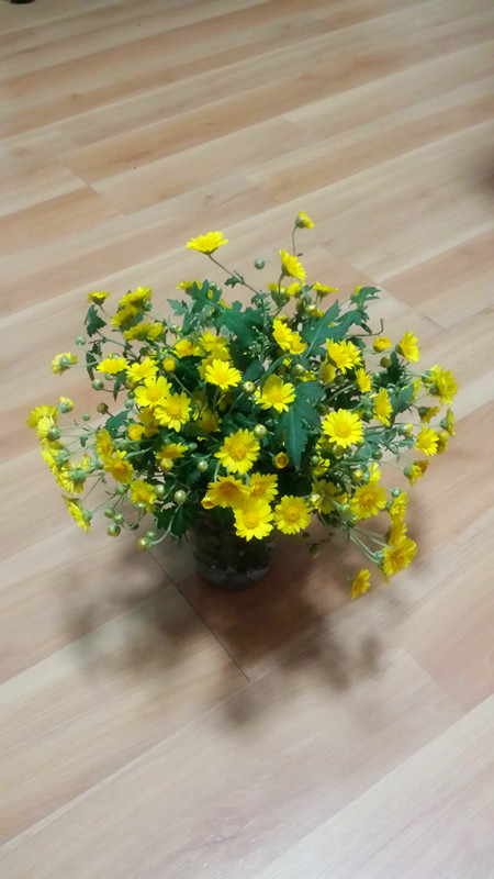 野菊花141 / 作者:阳光下的微笑丶 / 帖子ID:97642