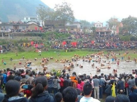 盘王节232 / 作者:此痛☆非彼痛﹏ / 帖子ID:97731