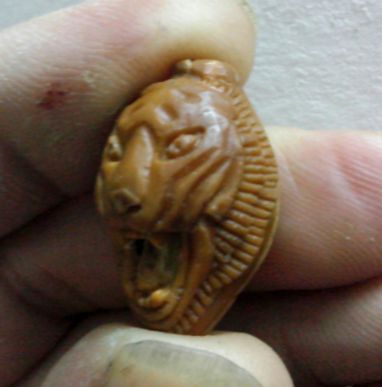 尝试虎头！70 / 作者:排散 / 帖子ID:97807