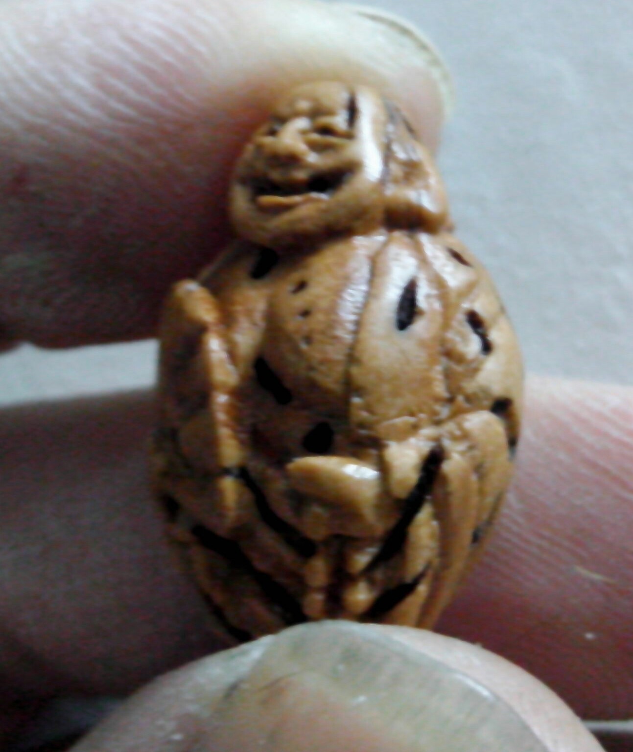 桃核弥勒佛！808 / 作者:排散 / 帖子ID:97821