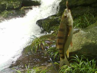 好有味道452 / 作者:此痛☆非彼痛﹏ / 帖子ID:98696