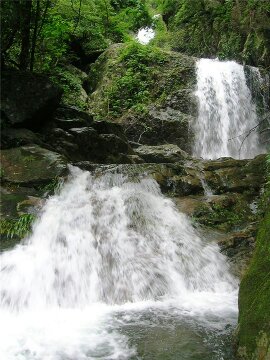 好有味道291 / 作者:此痛☆非彼痛﹏ / 帖子ID:98696