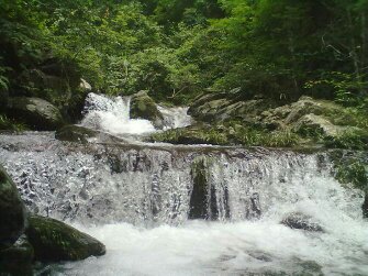 好有味道834 / 作者:此痛☆非彼痛﹏ / 帖子ID:98696