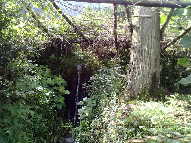 美丽的瑶乡683 / 作者:此痛☆非彼痛﹏ / 帖子ID:98763