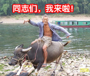 当延长至65岁退休867 / 作者:龍虎袍哥 / 帖子ID:98912