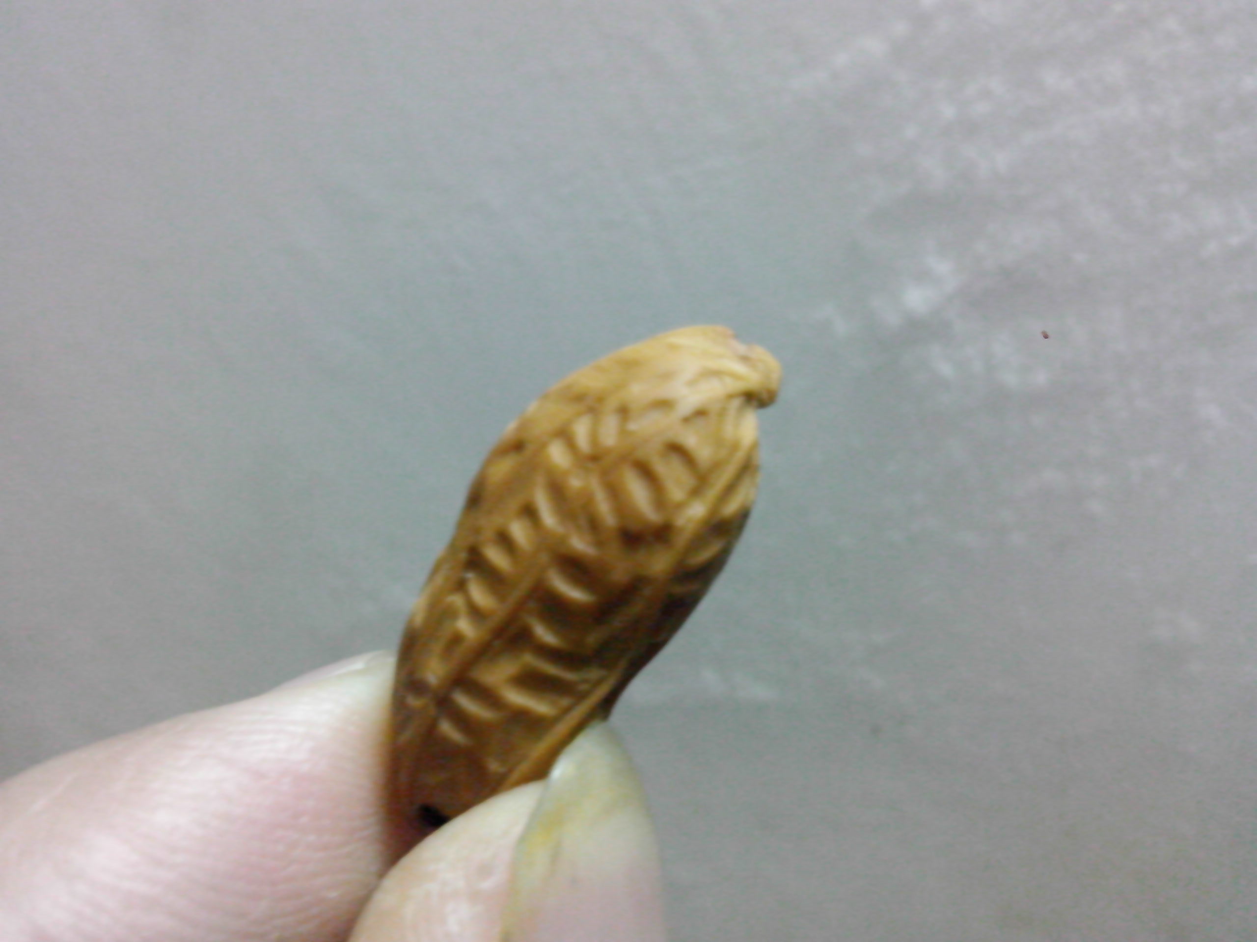 来两个小玩意！780 / 作者:排散 / 帖子ID:98924