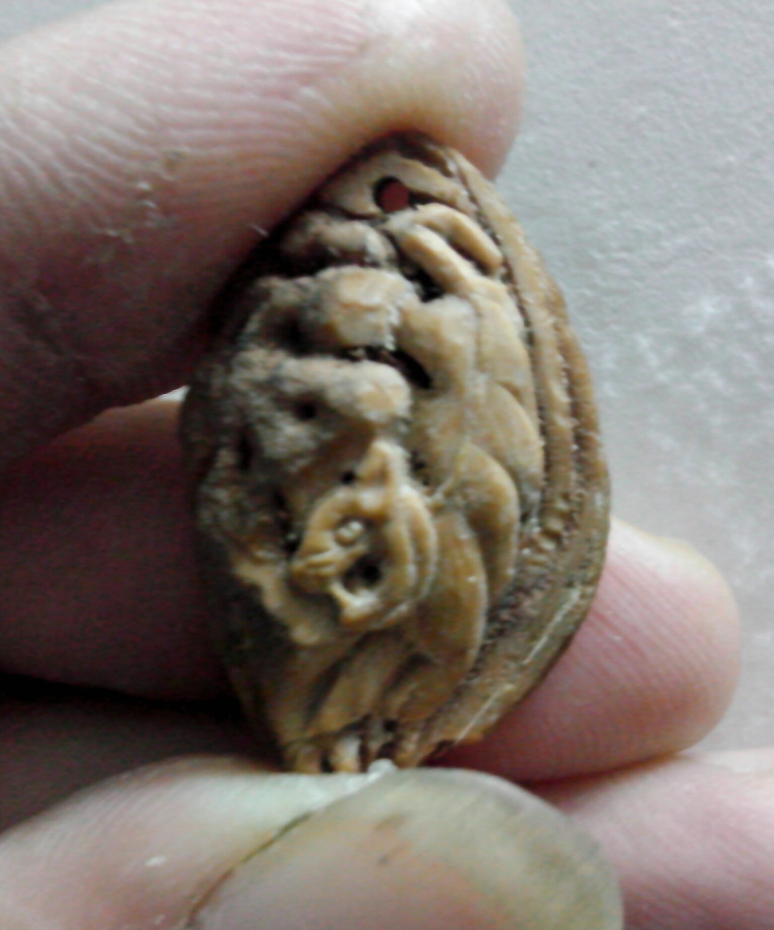 尝试降龙伏虎！789 / 作者:排散 / 帖子ID:99089