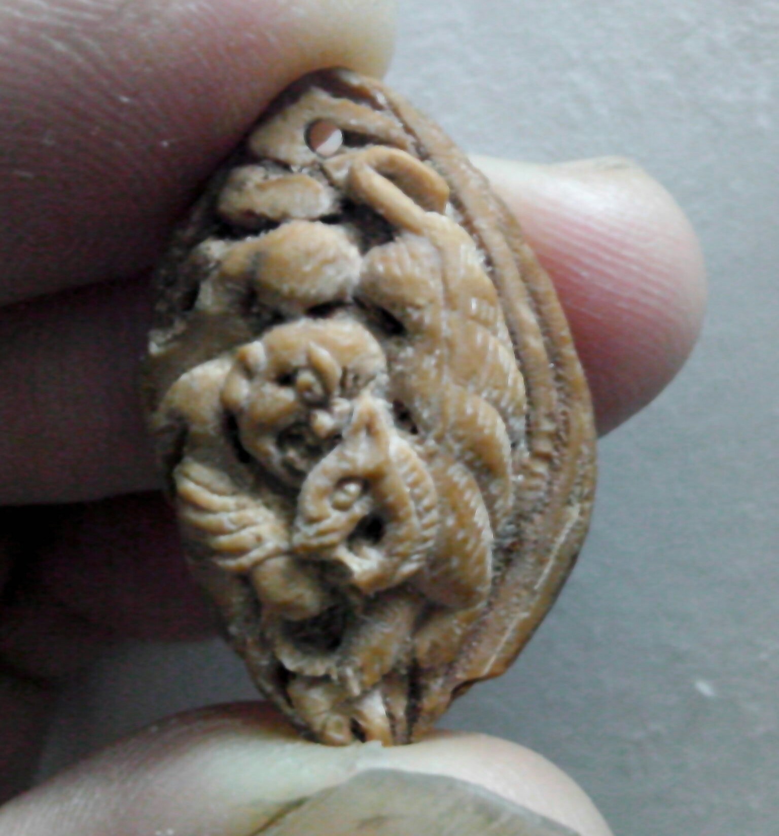 尝试降龙伏虎！231 / 作者:排散 / 帖子ID:99089