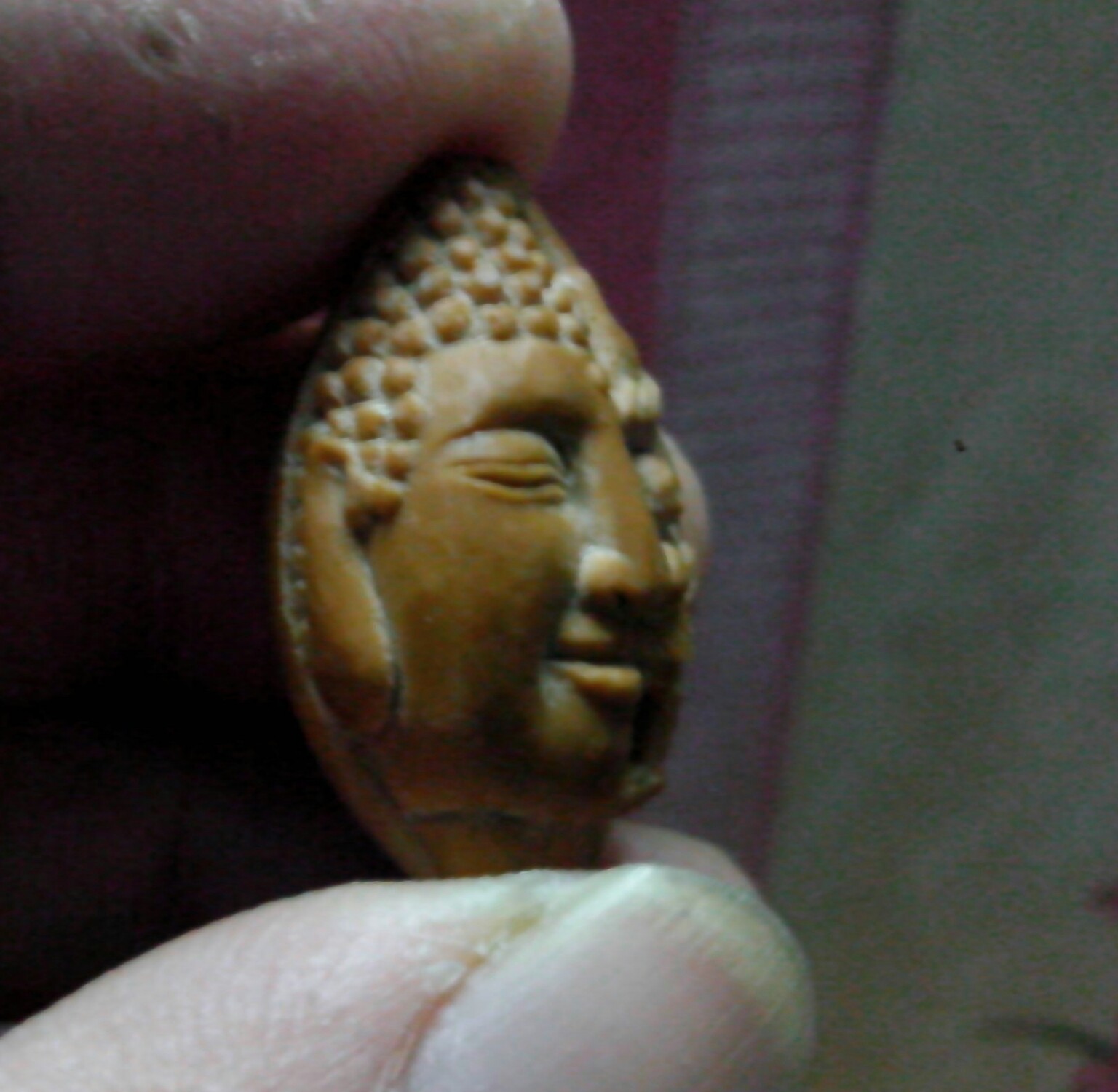 龙头佛面！！786 / 作者:排散 / 帖子ID:99477