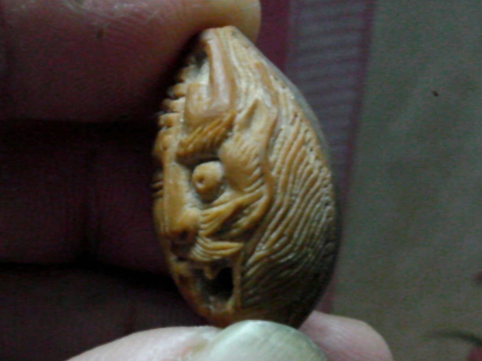 龙头佛面！！44 / 作者:排散 / 帖子ID:99477