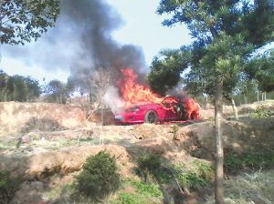 义乌一红色跑车着火 上面有两具被捆绑着的尸体804 / 作者:悠悠亲情 / 帖子ID:99578