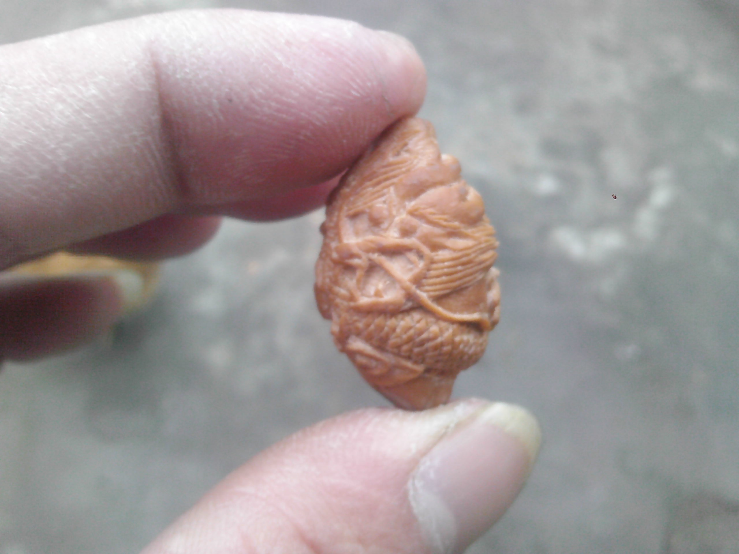 又雕龙一条！654 / 作者:排散 / 帖子ID:99602