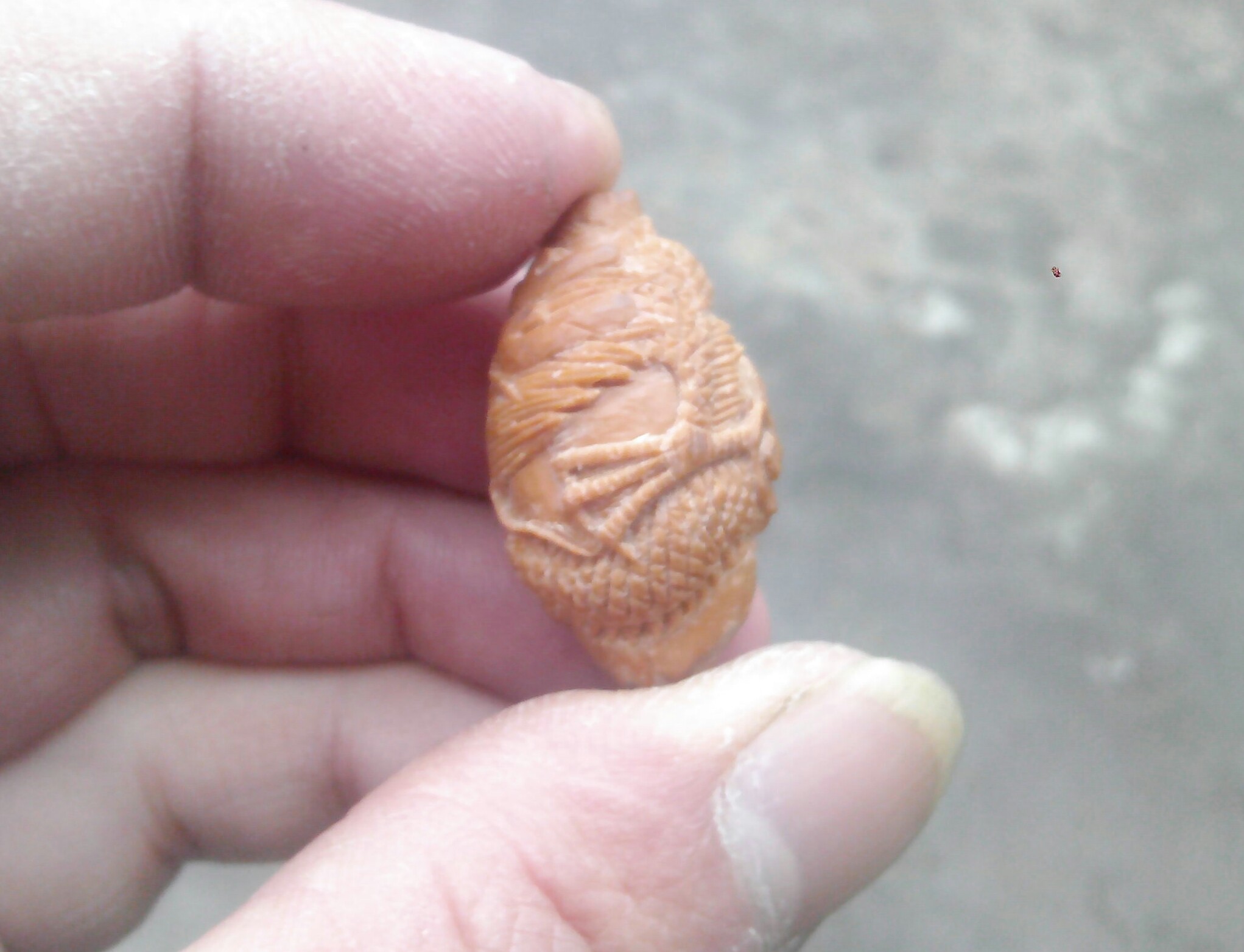 又雕龙一条！94 / 作者:排散 / 帖子ID:99602